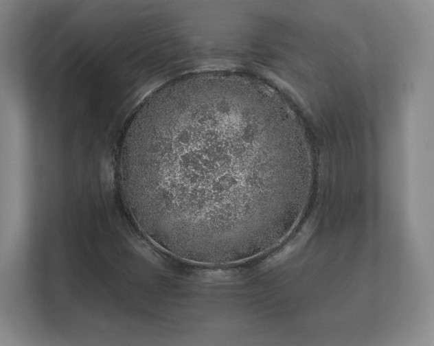 X0000112381401200908201513