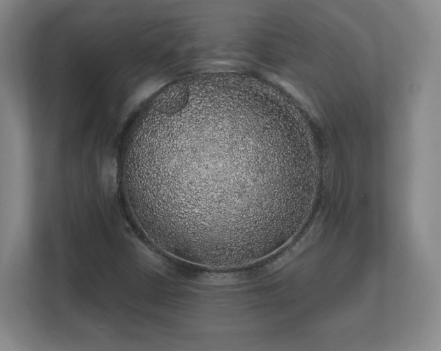 X0000112381402200908201513