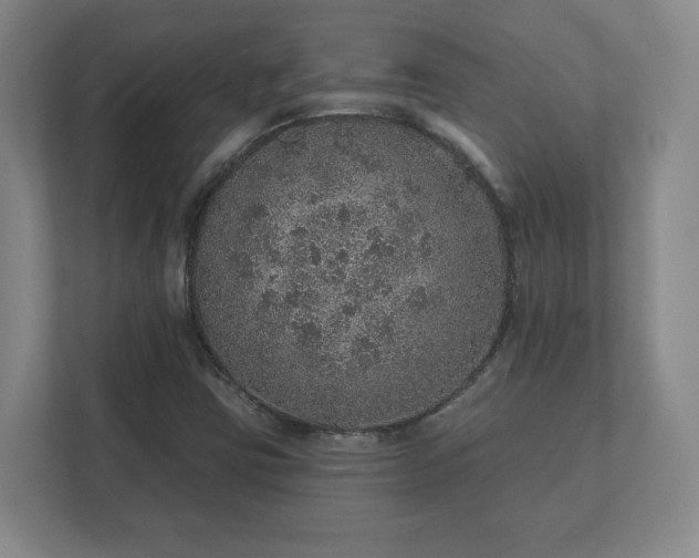 X0000112381403200908201513