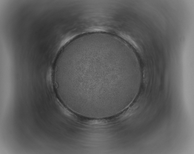 X0000112381404200908201513