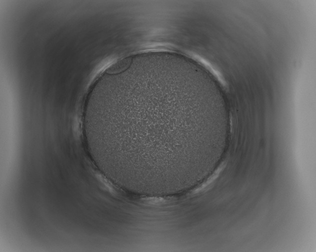 X0000112381405200908201513