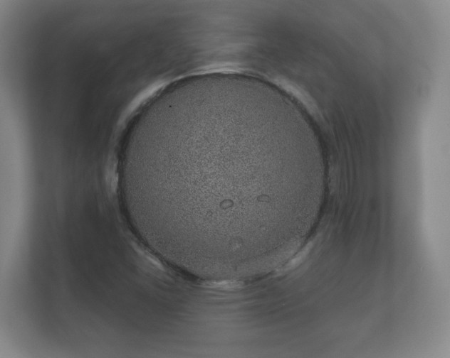 X0000112381406200908201513