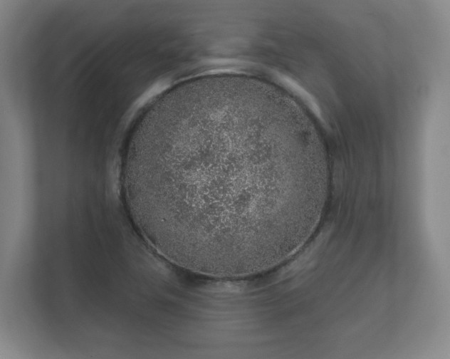 X0000112381411200908201513