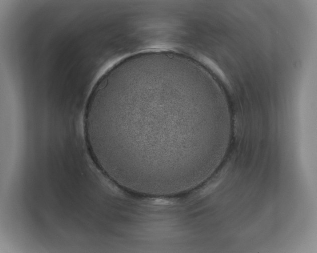 X0000112381412200908201513