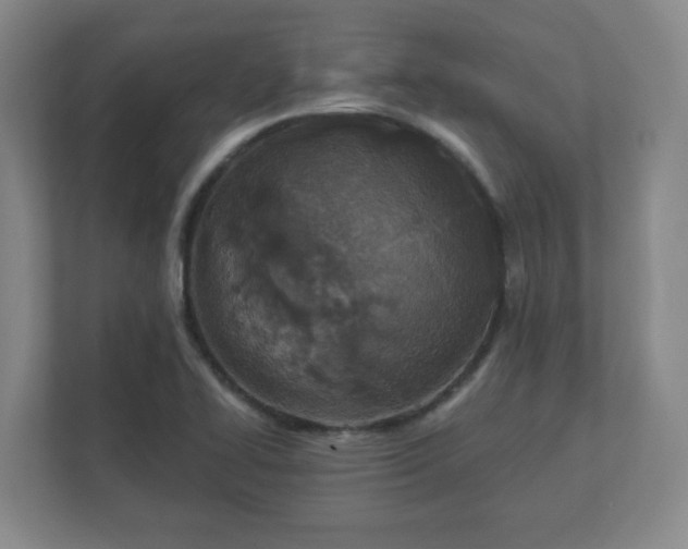 X0000112381414200908201513