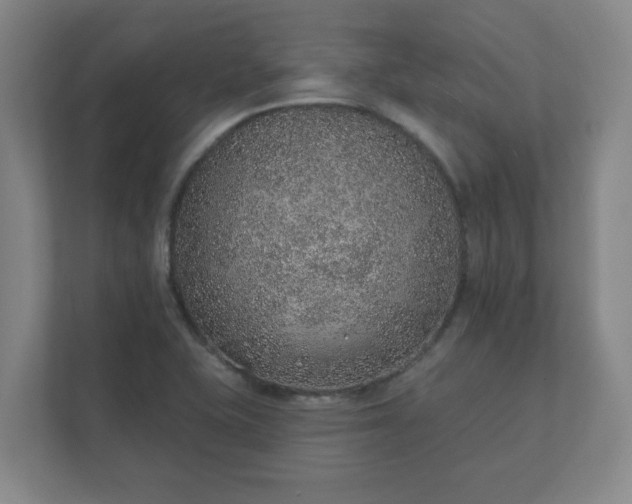 X0000112381415200908201513