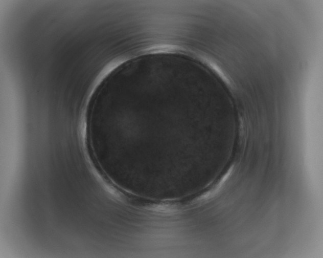 X0000112381418200908201513