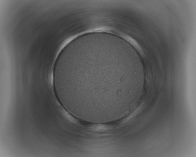 X0000112381420200908201513