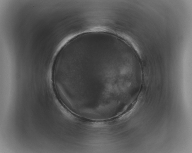 X0000112381422200908201513