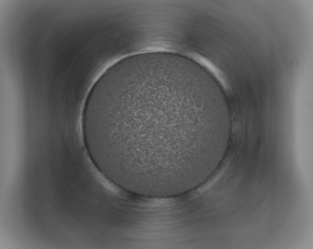 X0000112381423200908201513