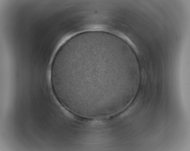 X0000112381424200908201513