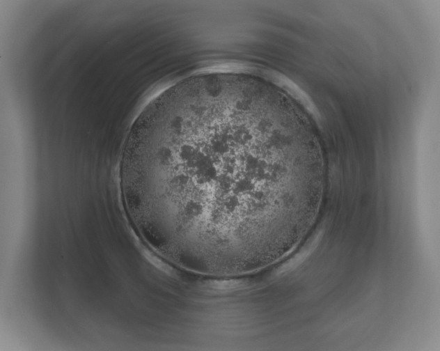 X0000112381425200908201513