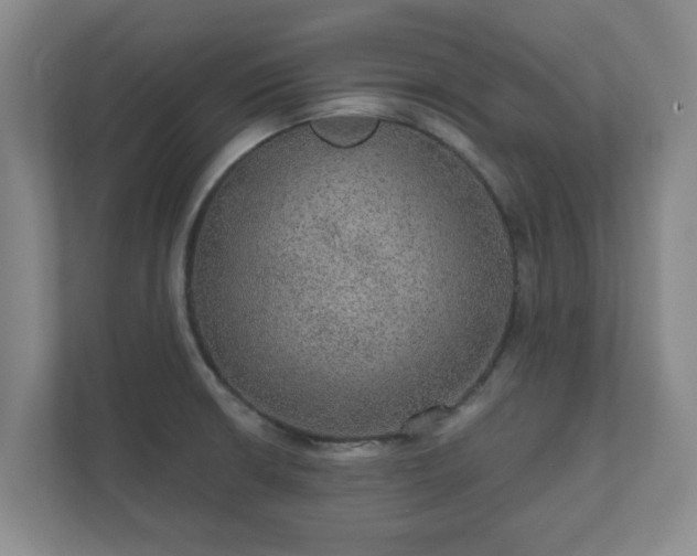 X0000112381426200908201513