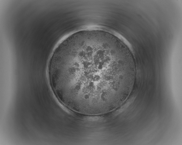 X0000112381429200908201513