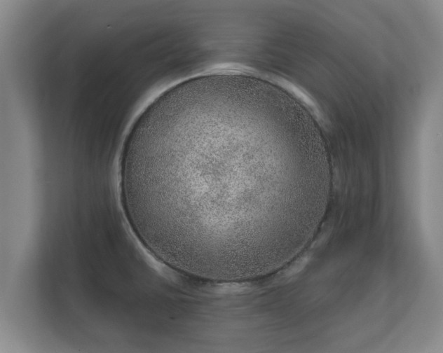 X0000112381430200908201513