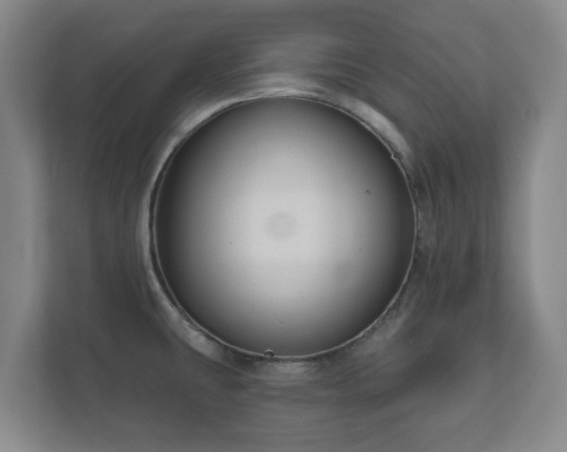 X0000112381431200908201513