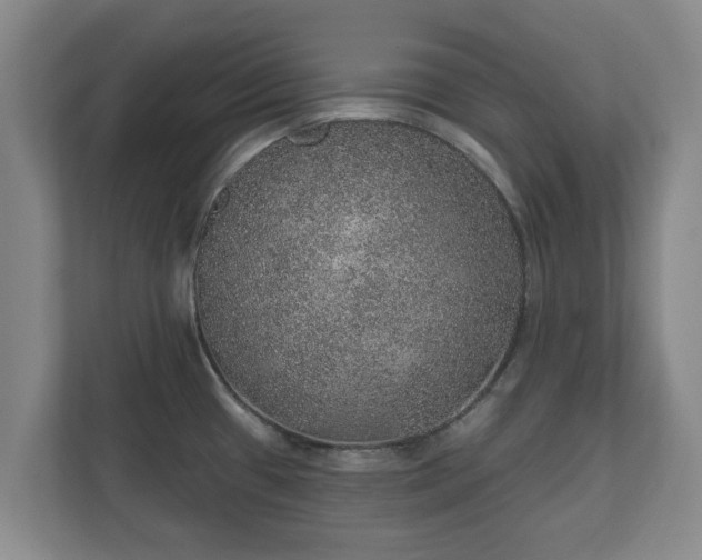 X0000112381433200908201513