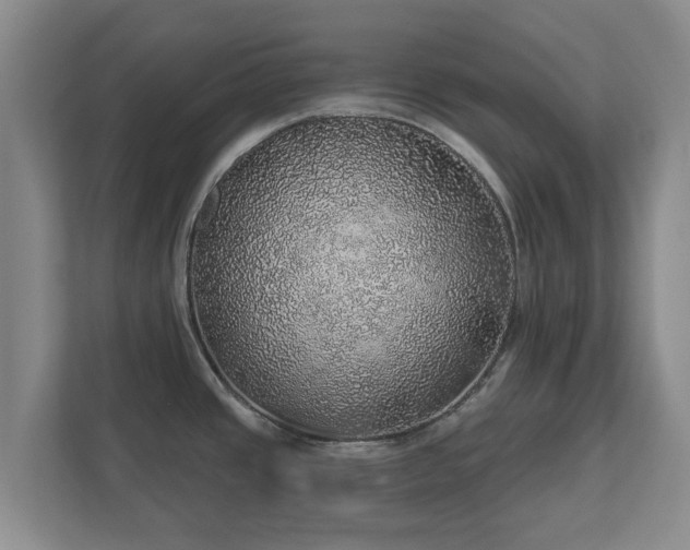 X0000112381437200908201513