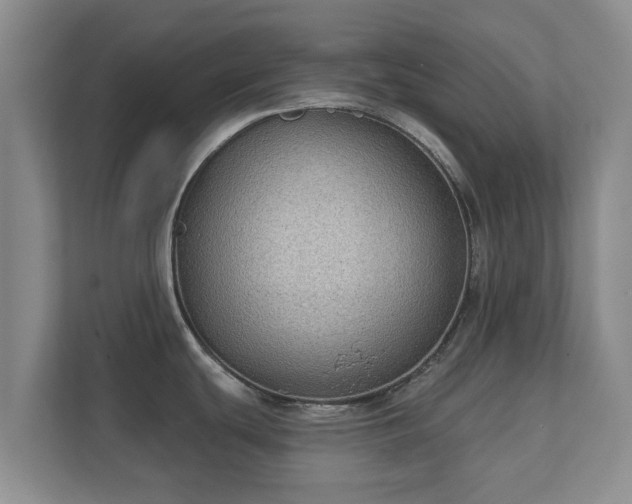 X0000112381439200908201513