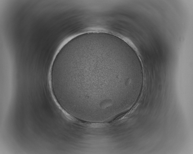 X0000112381440200908201513