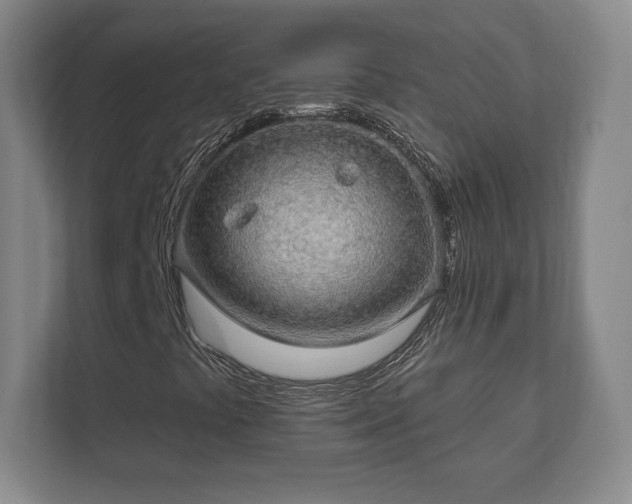 X0000112381441200908201513