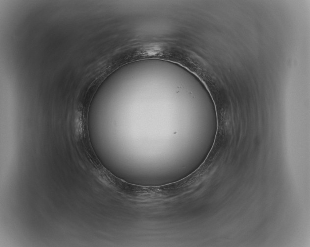 X0000112381442200908201513