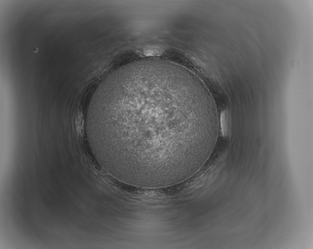 X0000112381443200908201513