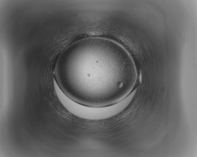 X0000112381444200908201513