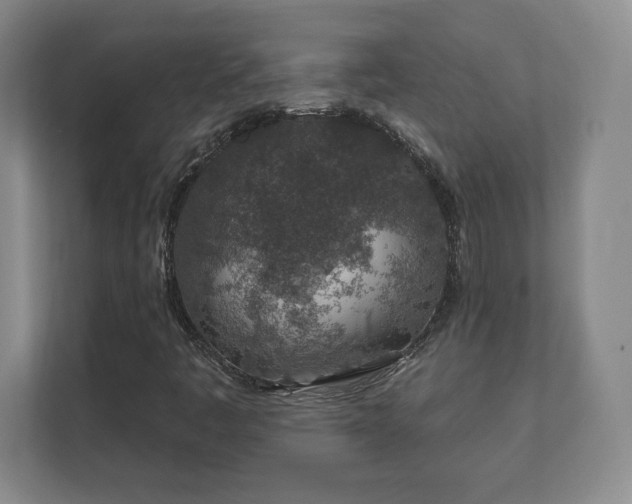 X0000112381445200908201513