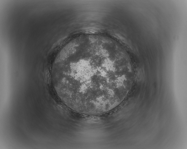 X0000112381446200908201513