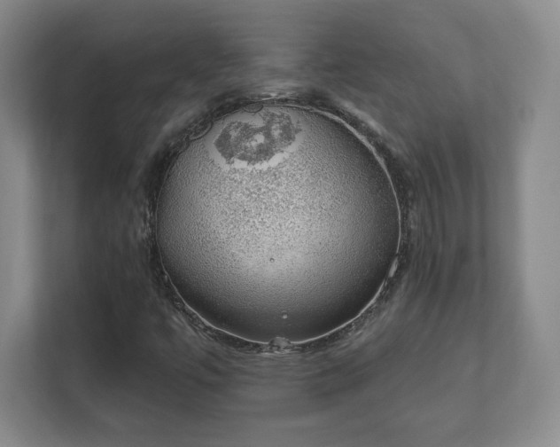 X0000112381447200908201513