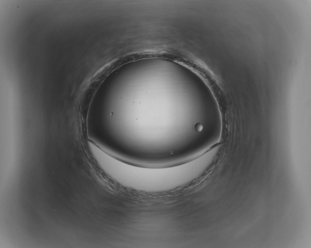 X0000112381448200908201513