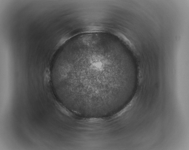 X0000112381449200908201513