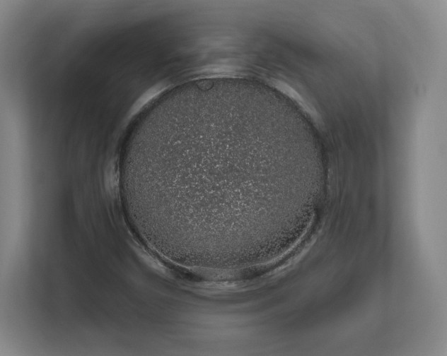 X0000112381450200908201512