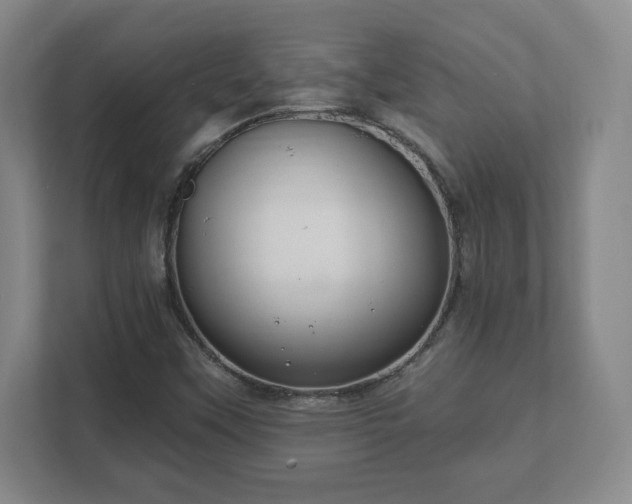 X0000112381451200908201512