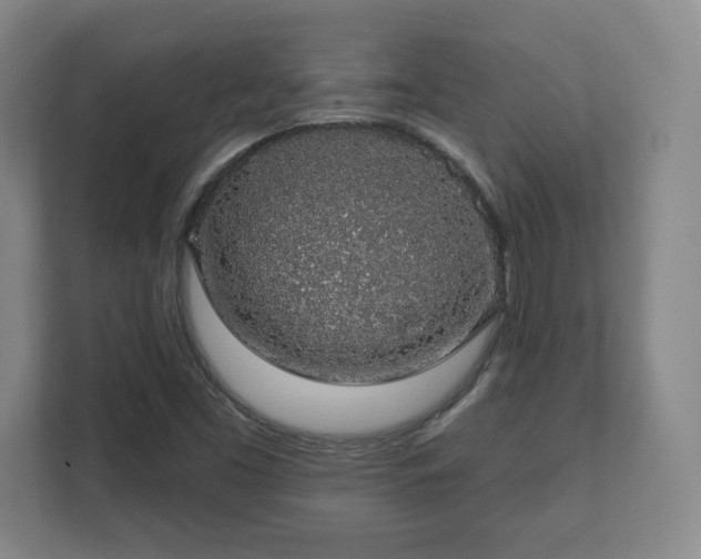 X0000112381453200908201512