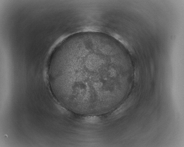 X0000112381454200908201512