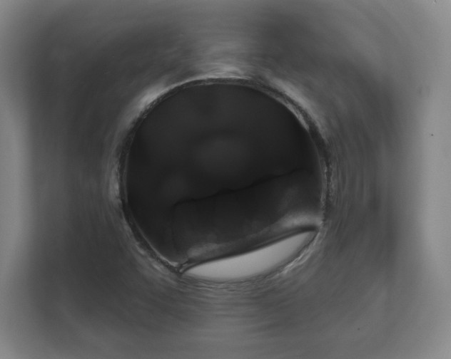 X0000112381455200908201512