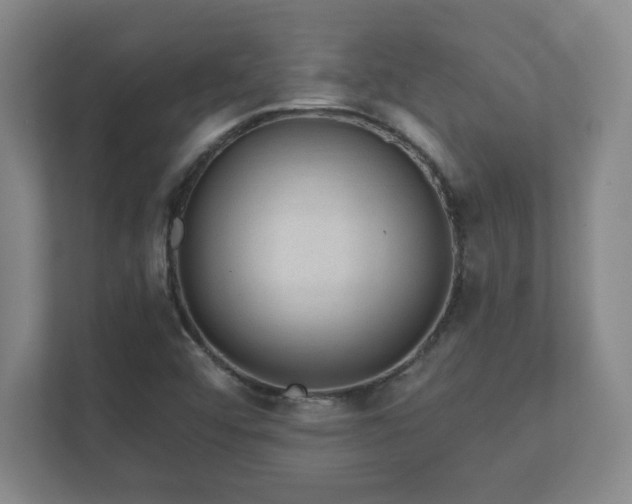 X0000112381456200908201512