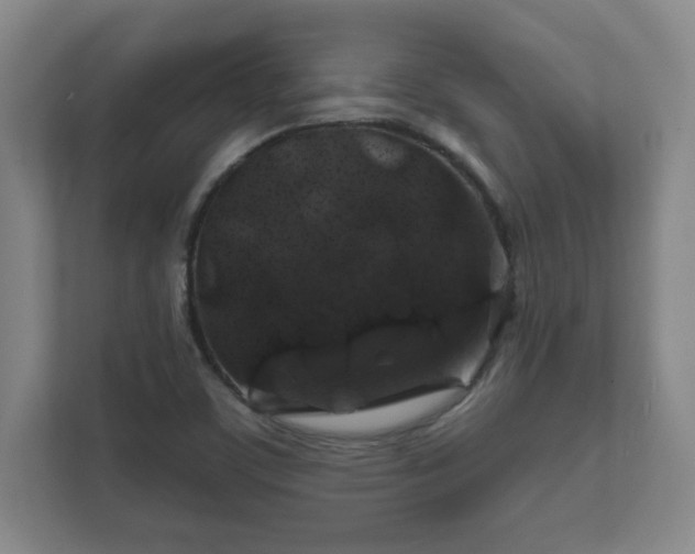 X0000112381459200908201512