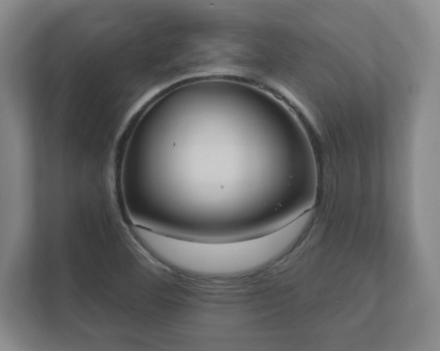 X0000112381460200908201512