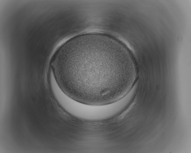 X0000112381461200908201512