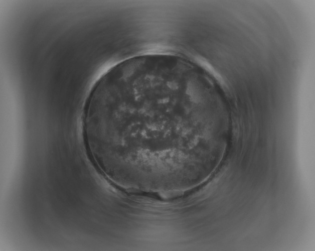 X0000112381463200908201512