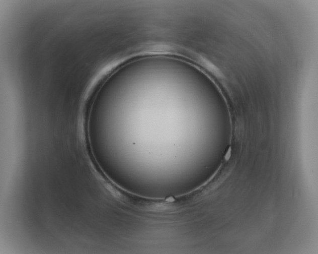 X0000112381464200908201512