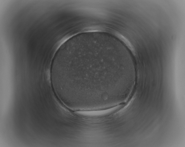 X0000112381465200908201512