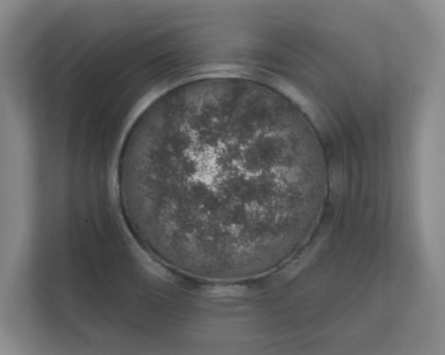 X0000112381466200908201512