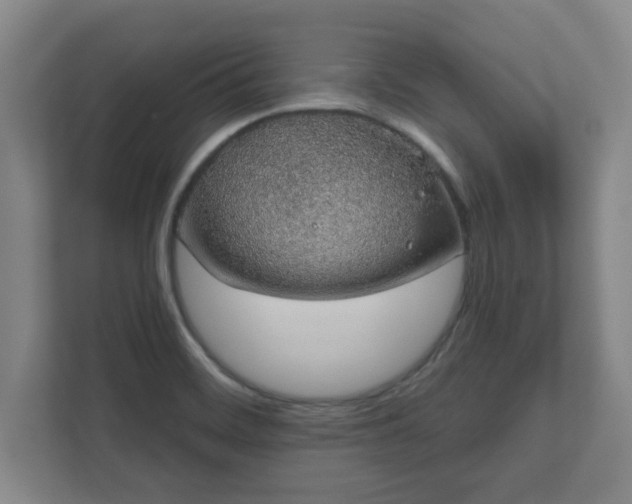 X0000112381468200908201512