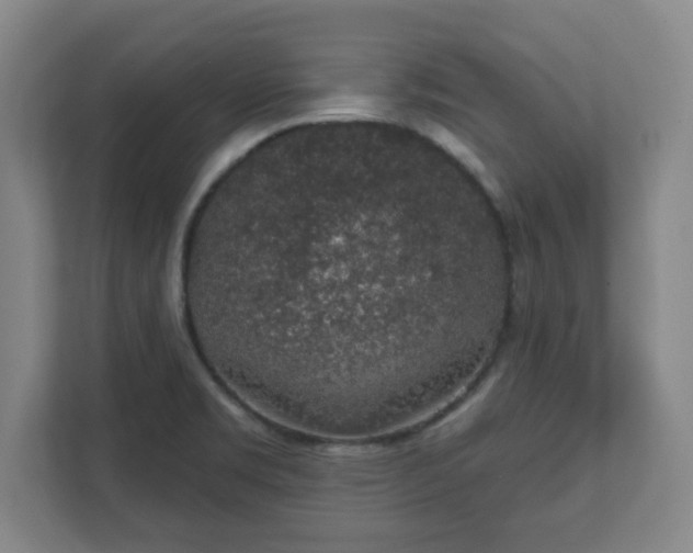 X0000112381469200908201512