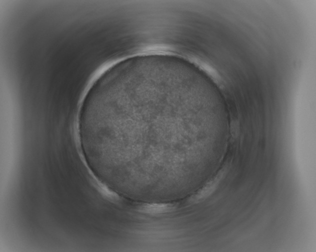 X0000112381470200908201512