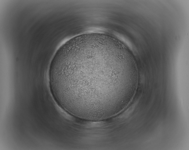 X0000112381471200908201512